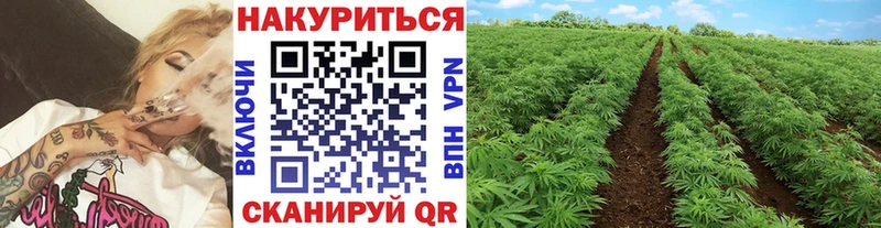Виды наркоты Североуральск ГАШ  Cocaine  Меф мяу мяу  Альфа ПВП  Конопля 
