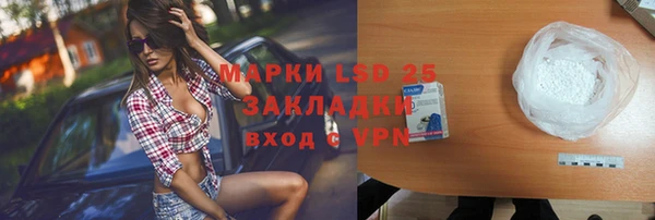 прущие грибы Балабаново