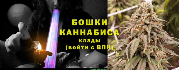 прущие грибы Балабаново